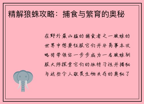 精解狼蛛攻略：捕食与繁育的奥秘